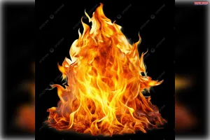 भीषण गर्मी में बढ़ा लोड, बिजली के पोल की केबल में लगी आग, मचा हड़कंप