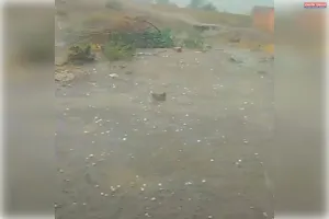 भीषण गर्मी के बीच कई इलाकों में गिरे बर्फ के छोटे-छोटे ओले, मौसम हुआ सुहाना