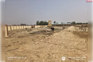 नवनिर्मित कान्हा गौशाला में गौवंशों की दुर्दशा का अध्याय शुरू