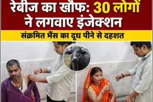 गोरखपुर में हड़कंप: रेबीज संक्रमित भैंस का दूध पीने वाले 30 लोगों ने लगवाए एंटी-रेबीज इंजेक्शन