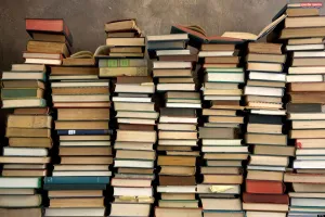 जीवन विकास में पुस्तकों का महत्व ज्ञान का अमर स्रोत और मार्गदर्शक प्रकाश