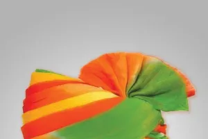 भाजपा नेता ने रेल मंत्री व पूर्व सांसद को भेजा पत्र बभनान रेलवे स्टेशन पर प्रमुख ट्रेनों के ठहराव एवं गेट नं 223 पर ओवर ब्रिज निर्माण की मांग