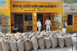 सहायक आयुक्त सहकारिता ने चोपन गेंहू क्रय केंद्र का किया निरीक्षण