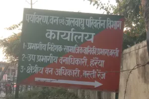 मरहा-करचौलिया में सागौन के पेड़ों की हुई थी अवैध कटान, 10 दिन बाद भी नहीं हुई कोई कार्रवाई