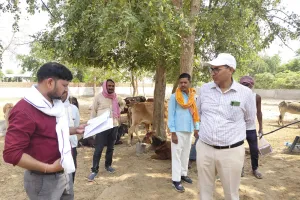 सीडीओ ने गौशालाओं का किया निरीक्षण, लू से बचाव के दिए निर्देश