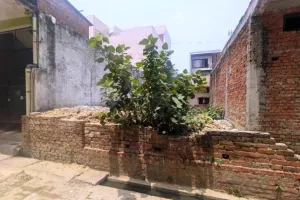नगरपालिका प्रशासन पर भूमाफिया भारी,बेशकीमती जमीनों का चिन्हांकन करवाने मे छूट रहा पसीना
