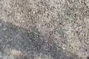 पी डब्लू डी की सड़क बनने के दूसरे दिन ही उढ़ने लगी। ग्रामीणों में आक्रोश।