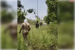 महाराज पुर थाना क्षेत्र में तेंदुए के देखें जाने से ग्रामीणों में दहशत का माहौल