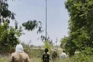 महाराज पुर थाना क्षेत्र में तेंदुए के देखें जाने से ग्रामीणों में दहशत का माहौल