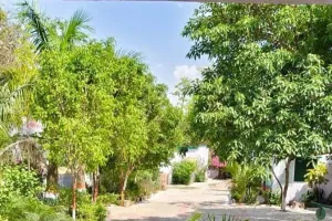 शिक्षा के साथ पर्यावरण संदेश  की नई इबारत गढ़ रहा बढ़नी ब्लॉक का हरित विद्यालय गोल्हौरा मुस्तहकम