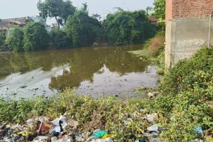 सोनहटी बुजुर्ग में पानी और जलकुंभी के बीच चल रहा मनरेगा कार्य प्रधान सचिन और वीडियो की मिले भगत से