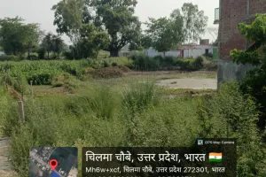 तिन्ना से पटा तलाब में 194 की लग रही फर्जी हाजिरी धरातल की स्थित जस का तस