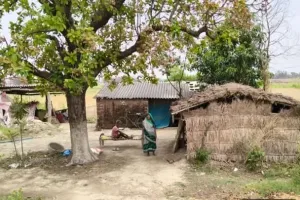चकबंदी अधिकारियों की मनमानी, दलित परिवार के आशियाने को ही वृक्षारोपण के लिए किया चयनित 
