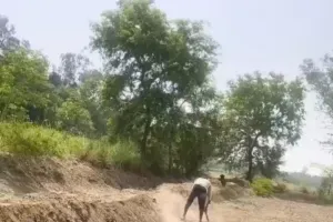 भ्रष्टाचार रोकने में मुख्य विकास अधिकारी नाकाम धरातल पर 10 मजदूर, कागजों में 61 की हाजिरी गोरखर में मनरेगा कार्य की खुली रही पोल
