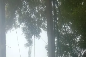 भीषण गर्मी में बिजली संकट से जूझ रहा बड़ा चाका, जल्द नया ट्रांसफार्मर लगाने का आश्वासन