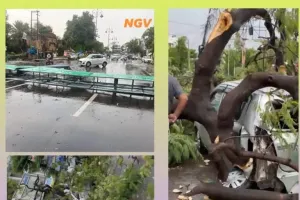 तेज आंधी और बारिश से बस्ती में मचा हड़कंप, कई जगह गिरे पेड़ और यूनीपोल, सीआरओ ने संभाली राहत कार्यों की कमान