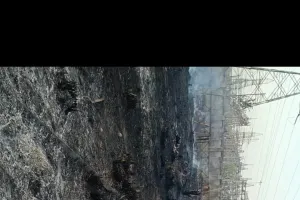 हनुमान नगर में किया गया शरबत वितरण,सैकड़ों लोगों ने लिया लाभ।