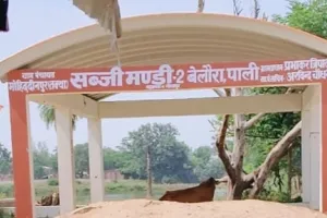 सहजनवां लाखों की लागत से बना सरकारी बाजार पड़ा निष्क्रिय, निजी भूमि पर हाट लगने से पंचायत को राजस्व नुकसान का दावा