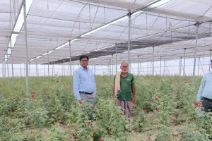 MIDH योजना से बदली किसान रामजनम वर्मा की तकदीर, नेट हाउस-पॉली हाउस खेती से पहला चक्र में ही 3.60 लाख की शुद्ध आय
