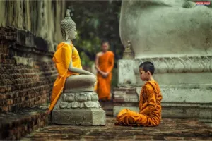 श्रुतधाम : ज्ञान, साधना और संस्कृति का जीवंत तीर्थ