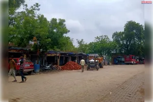 पडा़व की सरकारी जमीन पर किया गया है अवैध कब्जा।