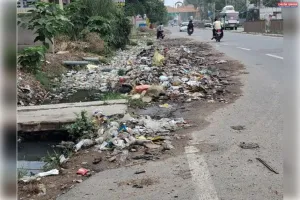 जाम नालियां और कूड़े के अंबार से ब्योहरा गांव बेहाल