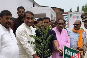 एक पेड़ माँ के नाम' अभियान के तहत चिरौड़ा ग्राम पंचायत में हुआ वृहद वृक्षारोपण।