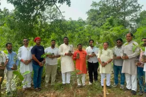 विश्व पर्यावरण दिवस पर दुद्धी विकास खंड में हजारों पौधे  किये गये रोपड़ 