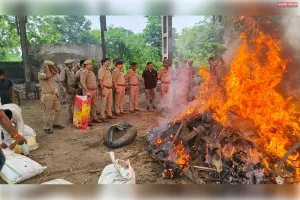 ऑपरेशन 'दहन' के तहत 5.57 करोड़ रुपये का 1115.95 किलो गांजा किया गया नष्ट