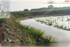 ग्राम पंचायत पखेरी में मनरेगा कार्यों में फर्जीवाड़े का आरोप, ग्रामीणों में आक्रोश