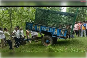 बाघ ने वनविभाग की टीम को खूब दिया चकमा बदला स्थान 