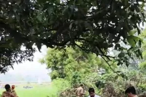 बाग की झाड़ियों में मिला 22 वर्षीय अज्ञात युवक का शव।