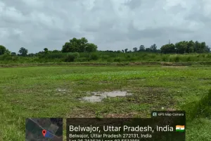 सचिव रजनी दूबे की मिलीभगत से ग्राम पंचायत मरवटिया तिवारी में जारी है फर्जीवाड़ा