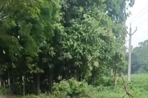 जिले का आबकारी विभाग देशी शराब की दुकानों को खुला संरक्षण देकर ग्राहकों को लूटने का एक नायाब तरीका ढूंढ निकाला