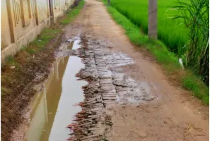 बाबा दुख:छोरनाथ धाम जाने वाली आरसीसी सड़क बनी बदहाली की तस्वीर गड्ढों में तब्दील मार्ग पर श्रद्धालुओं का सफर मुश्किल जांच की मांग