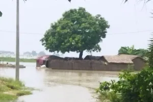 सरयू नदी का जलस्तर बढ़ा, दर्जनों गांव बाढ़ के पानी से घिरे; ग्रामीणों की बढ़ी मुश्किले