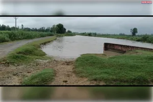 शारदा सागर खंड शाहजहांपुर नहर झील पर हो रहा कटान विभाग नहीं कर रहा कार्यवाही 