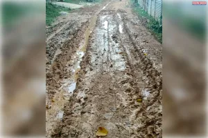 श्रीभूमि जिले के मोकामछड़ा लंबे समय से जर्जर सड़क, लोग परेशान