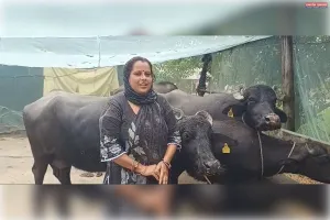 भैंस पालन से परमजीत ने संवारी परिवार की आर्थिक स्थिति