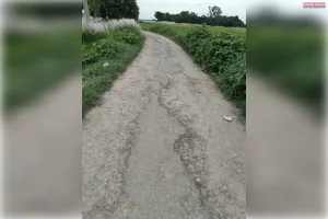बर्डपुर - रामनगर सड़क पर बने गड्डे, चोटिल हो रहे लोग