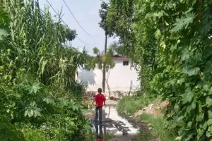 जाम नालियों से सड़कों पर बह रहा गंदा पानी