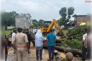 पेड़ गिरने से मेन रोड हुआ जाम, पुलिस ने तत्परता दिखाकर तुरंत हटवाया पेड़, यातायात व्यवस्था संचालित
