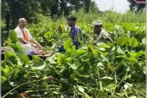 सामाजिक कार्य को राजनीतिक चश्मे से नहीं देखना चाहिए : चन्द्रमणि पाण्डेय ‘सुदामाजी’