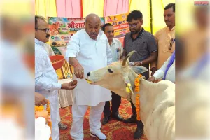 सेवा संकल्प अभियान के अंतर्गत पशुपालकों के सुपुर्द की गई 13 गौवंश