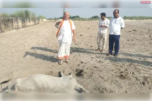 गौशाला में संरक्षण के बजाय दिखी बदहाली, मृत गौवंश और मरणासन्न पशुओं की स्थिति देख भड़के सुदामा