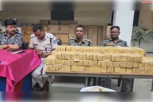 बरही में नकली एक्शन-7 टोबैको के खिलाफ पुलिस की छापेमारी, 523 पैकेट जब्त