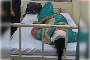 नवाबगंज बरखेड़ा मार्ग पर टुकटुक बाइक भिंड में तीन घायल एक की हालत गंभीर जिला अस्पताल भेजा