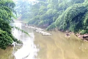 श्रीभूमि जिले के चेरागी रेंज में लंबे समय से खुलेआम बांस तस्करी का आरोप, वनकर्मियों की भूमिका पर उठे सवाल