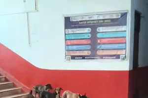 उतरौला तहसील परिसर में आवारा कुत्तों का आतंक, फरियादियों की सुरक्षा पर उठे सवाल