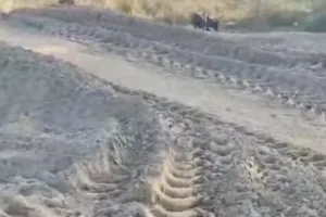 शक्तिफार्म में मिट्टी माफियाओं का साम्राज्य, कानून बेबस